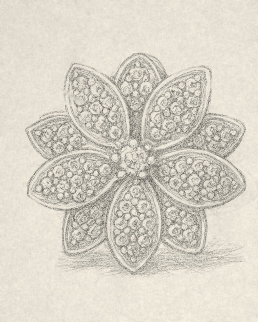 Pencil sketch of the D'ORO flower charm
